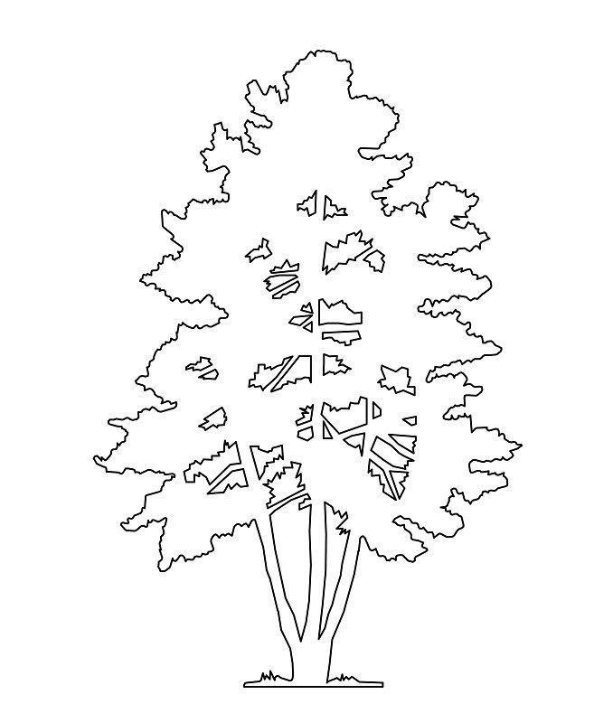 alberi-fermalibri-5