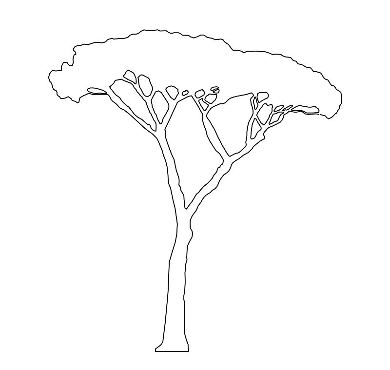 alberi-fermalibri-1