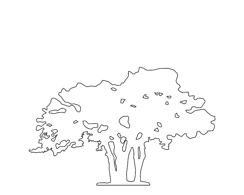 alberi-fermalibri-2